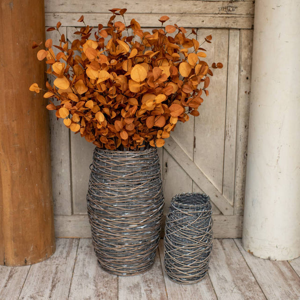 Eucalyptus Spray - 35" Rust