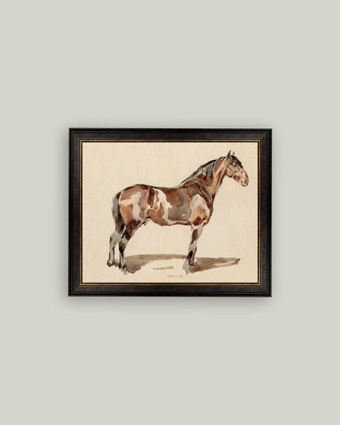 A Bay Horse Framed Antique Art: 9x7