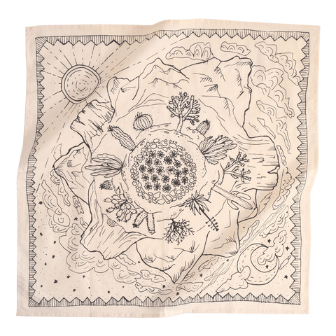 No. 068 Desert