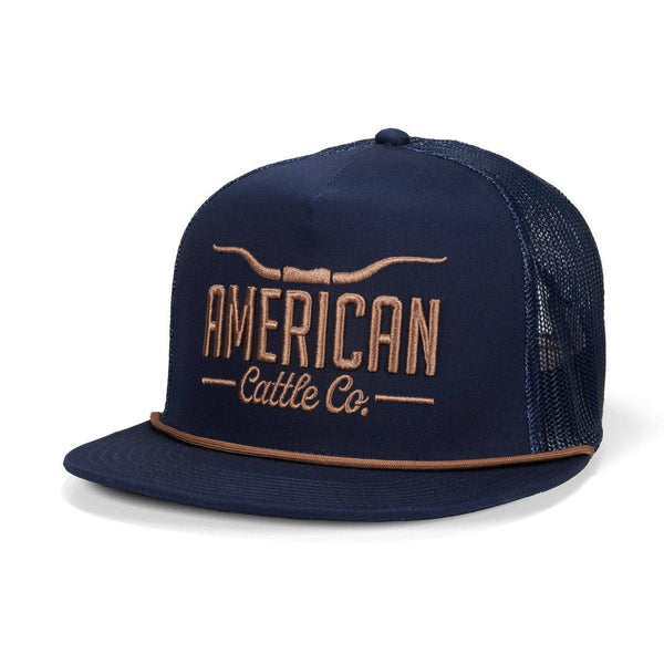 Longhorn Hat: Gray/White