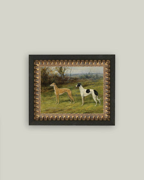 Greyhound Whippet Dogs Framed Antique Art: 10x8