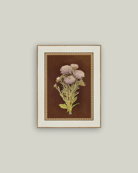 Lilac Dahlia on Brown Framed Antique Art: 4x6
