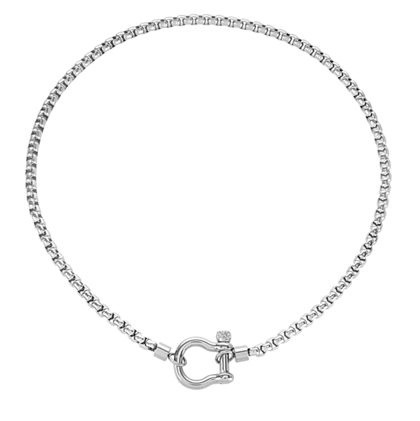 Carabiner Horse Bit Necklace - Waterproof Silver