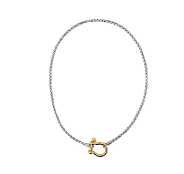 Carabiner Horse Bit Necklace - Waterproof Two Tone
