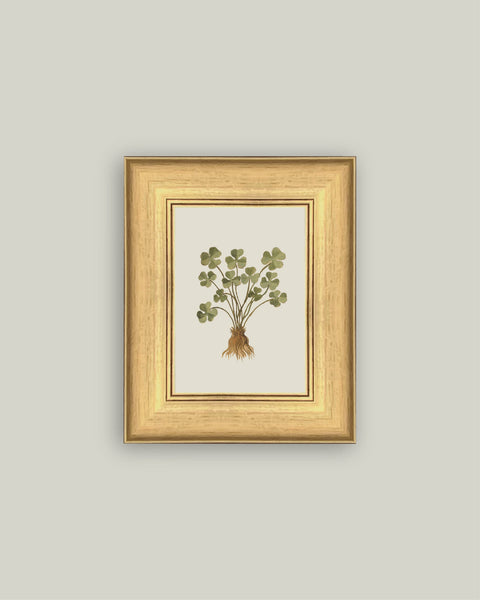 Rooted Luck: 6x8
