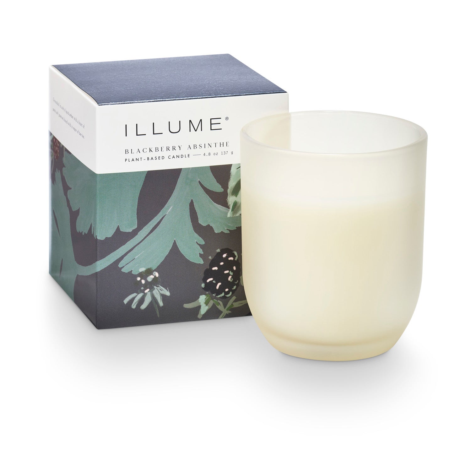 Blackberry Absinthe Baby Boxed Glass Candle