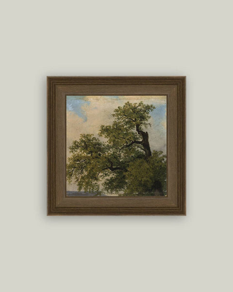 Painted Trees Framed Antique Art: 24x24