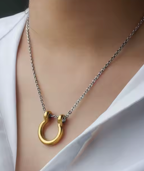 Horse Bit Horse Shoe Steel Stirup Chain Necklace: Two tone