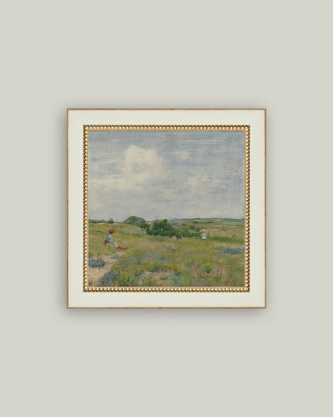 Shinnecock Hills: 23x23
