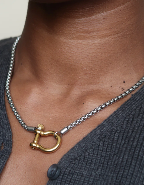 Carabiner Horse Bit Necklace - Waterproof Two Tone