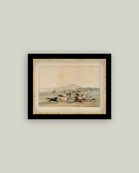 Field Of Horses Framed Antique Art: 15x11