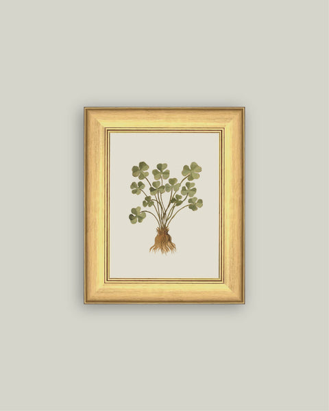 Rooted Luck: 6x8