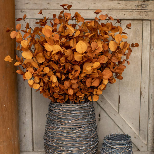 Eucalyptus Spray - 35" Rust