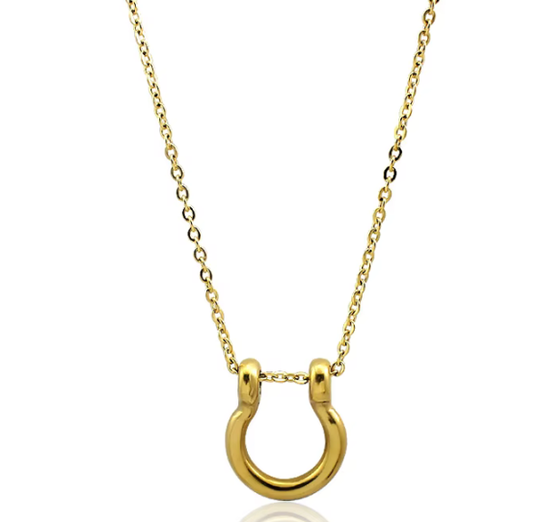 Horse Bit Horse Shoe Steel Stirup Chain Necklace: Two tone