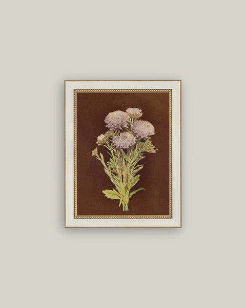 Lilac Dahlia on Brown Framed Antique Art: 4x6