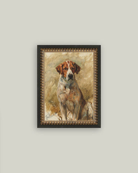 Study of a Hound Framed Antique Art: 5x7