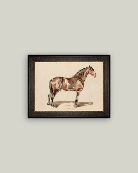 A Bay Horse Framed Antique Art: 9x7