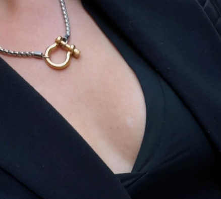 Carabiner Horse Bit Necklace - Waterproof Two Tone