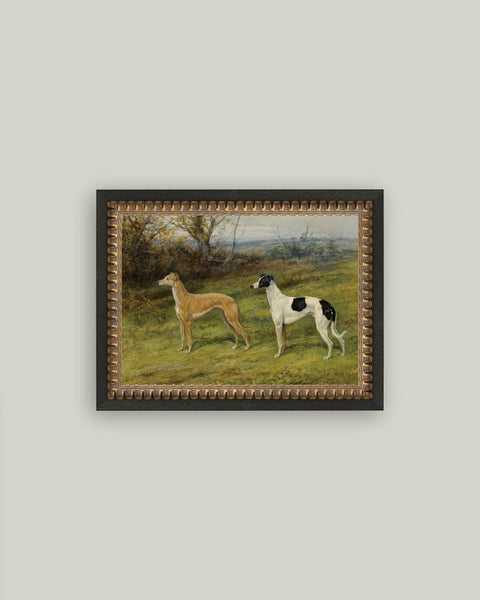 Greyhound Whippet Dogs Framed Antique Art: 10x8