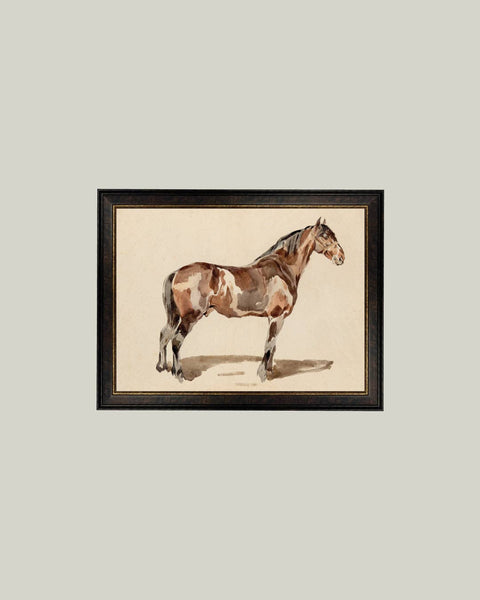 A Bay Horse Framed Antique Art: 9x7