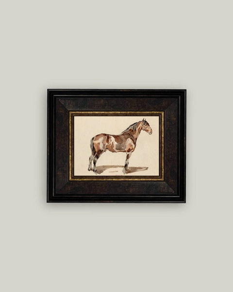 A Bay Horse Framed Antique Art: 9x7