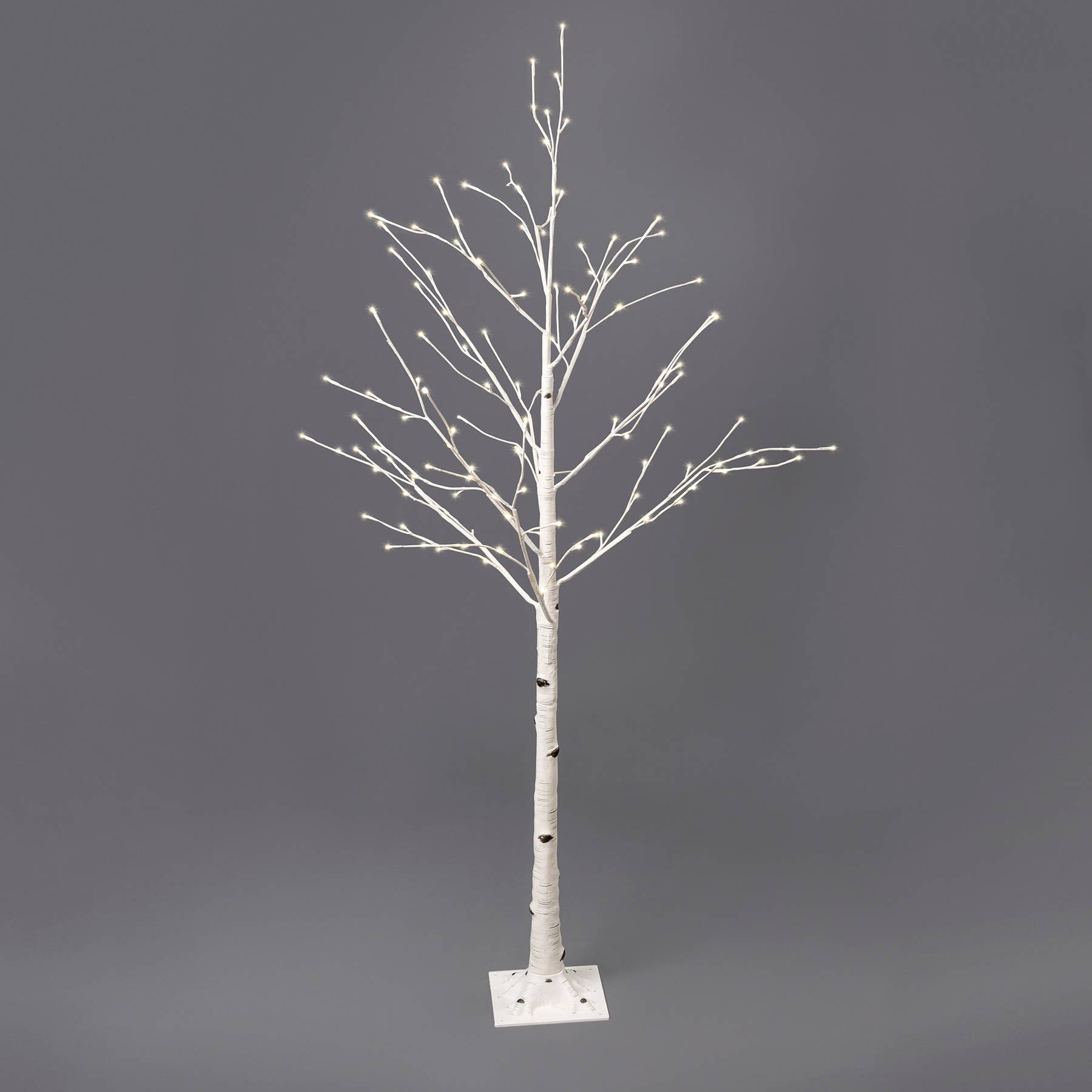 White Birch Medium Tree