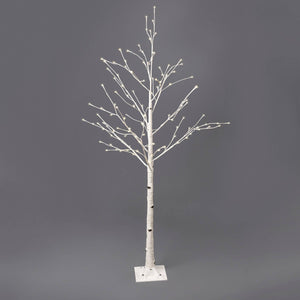 White Birch Medium Tree