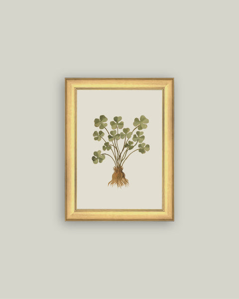Rooted Luck: 6x8