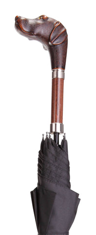 Brownie Umbrella
