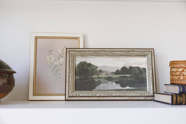 Flowering Yellow Plant Framed Antique Art: 4x6