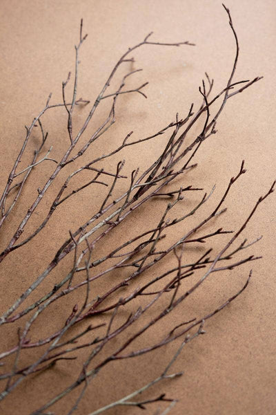 ARTIFICIAL BIRCH BRANCH STEM: Brown / Plastic/Wire / 38"t