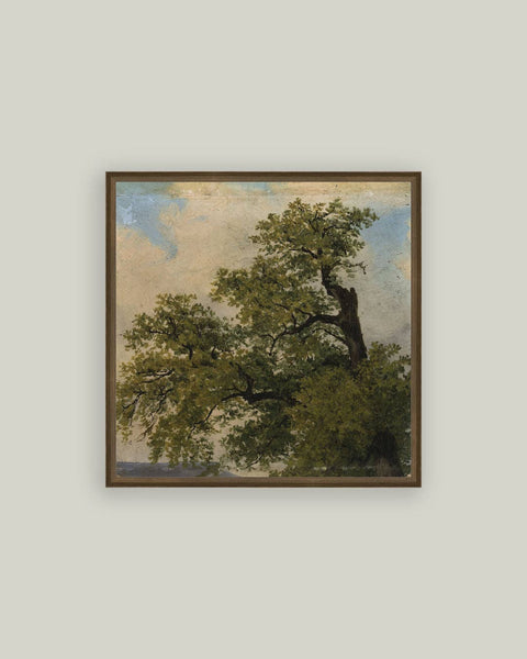 Painted Trees Framed Antique Art: 9x9