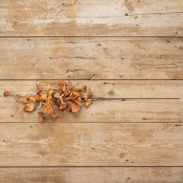 Eucalyptus Spray - 35" Rust