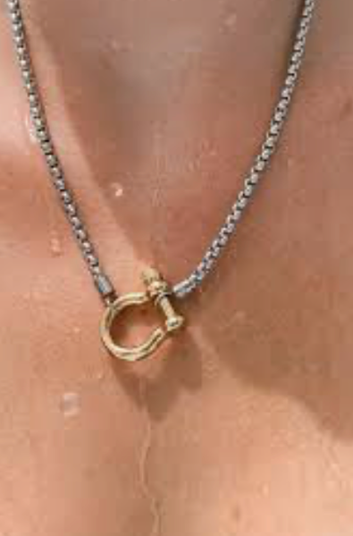 Carabiner Horse Bit Necklace - Waterproof Two Tone