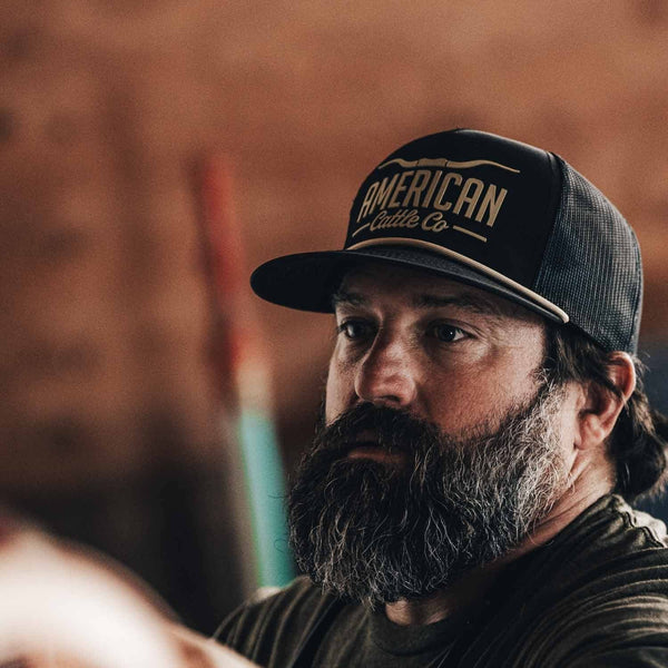 Longhorn Hat: Gray/White
