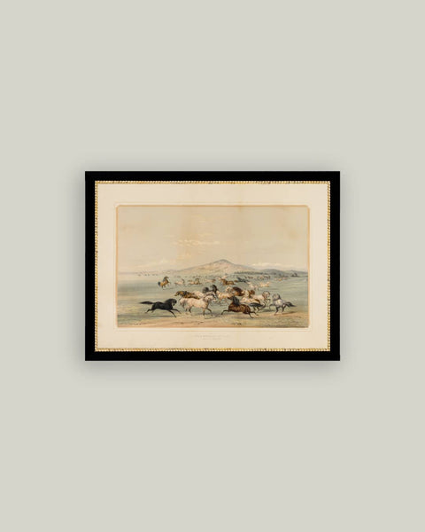 Field Of Horses Framed Antique Art: 15x11