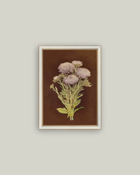 Lilac Dahlia on Brown Framed Antique Art: 4x6