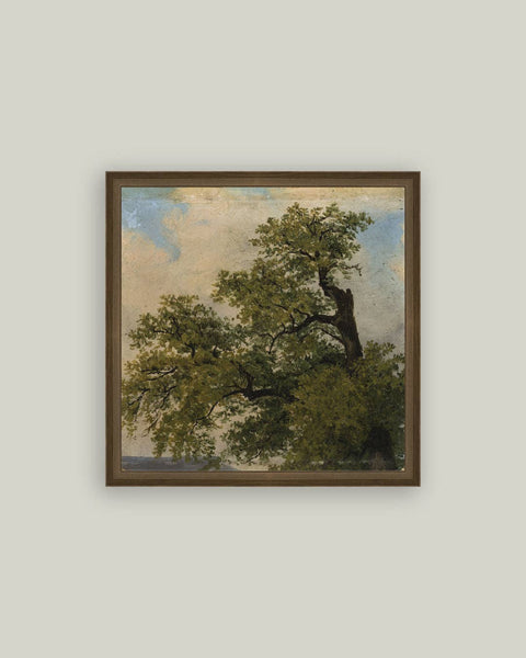 Painted Trees Framed Antique Art: 24x24