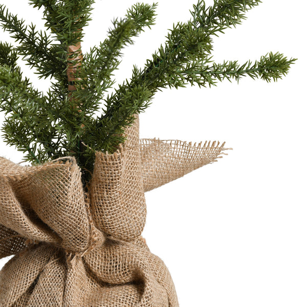 Alpine Tree - Medium
