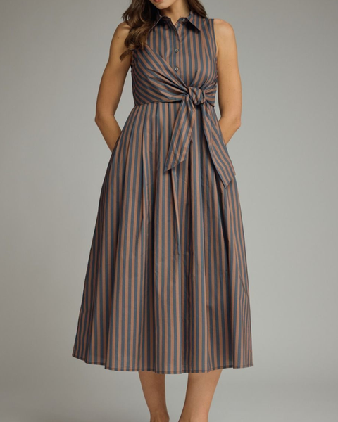 Stripe Tie Accent Dress - Navy/Brown