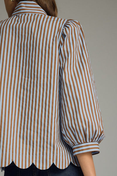 Stripe Self-Tie Neck Puff Sleeve Top: Blue Brown