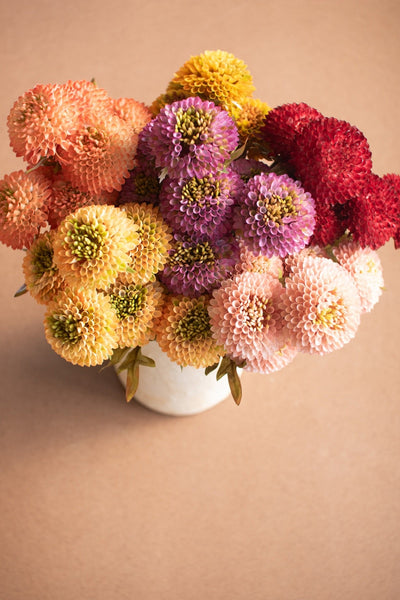 Faux Yellow Ball Dahlias - bundle of 7