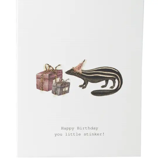 Happy Birthday You Little Stinker Birthday Card