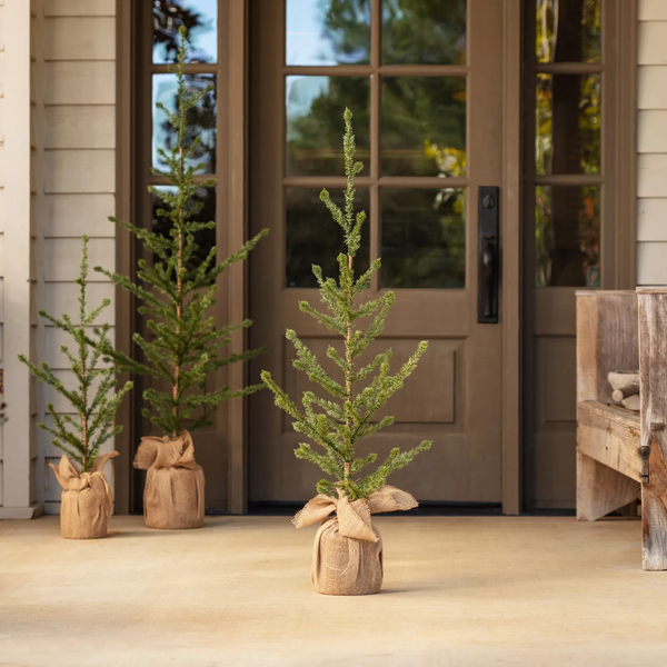 Alpine Tree - Medium