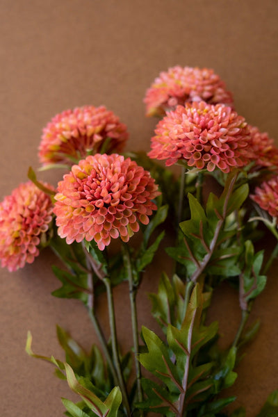 Faux Blush Ball Dahlias - bundle of 7