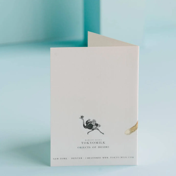 Still Irresistibly Foxy Birthday Card