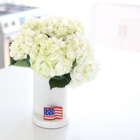 Nora Fleming Mini - Stars & Stripes Forever Flag