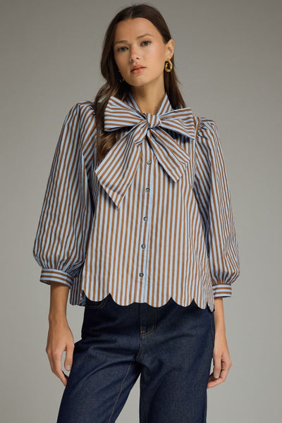 Stripe Self-Tie Neck Puff Sleeve Top: Blue Brown