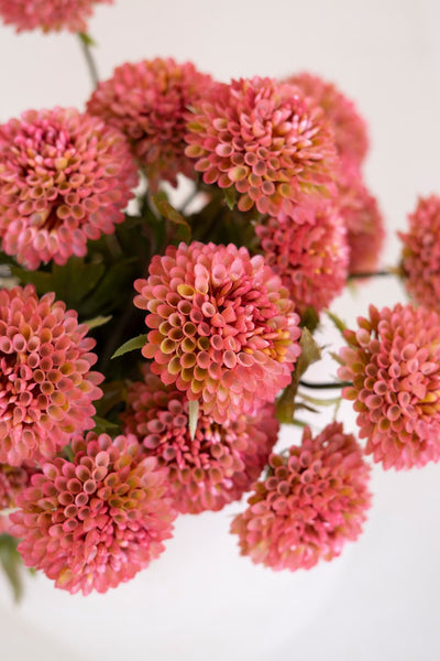 Faux Blush Ball Dahlias - bundle of 7