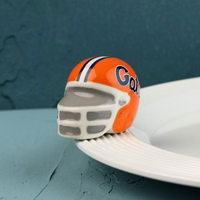 Nora Fleming Mini - University of Florida Helmet